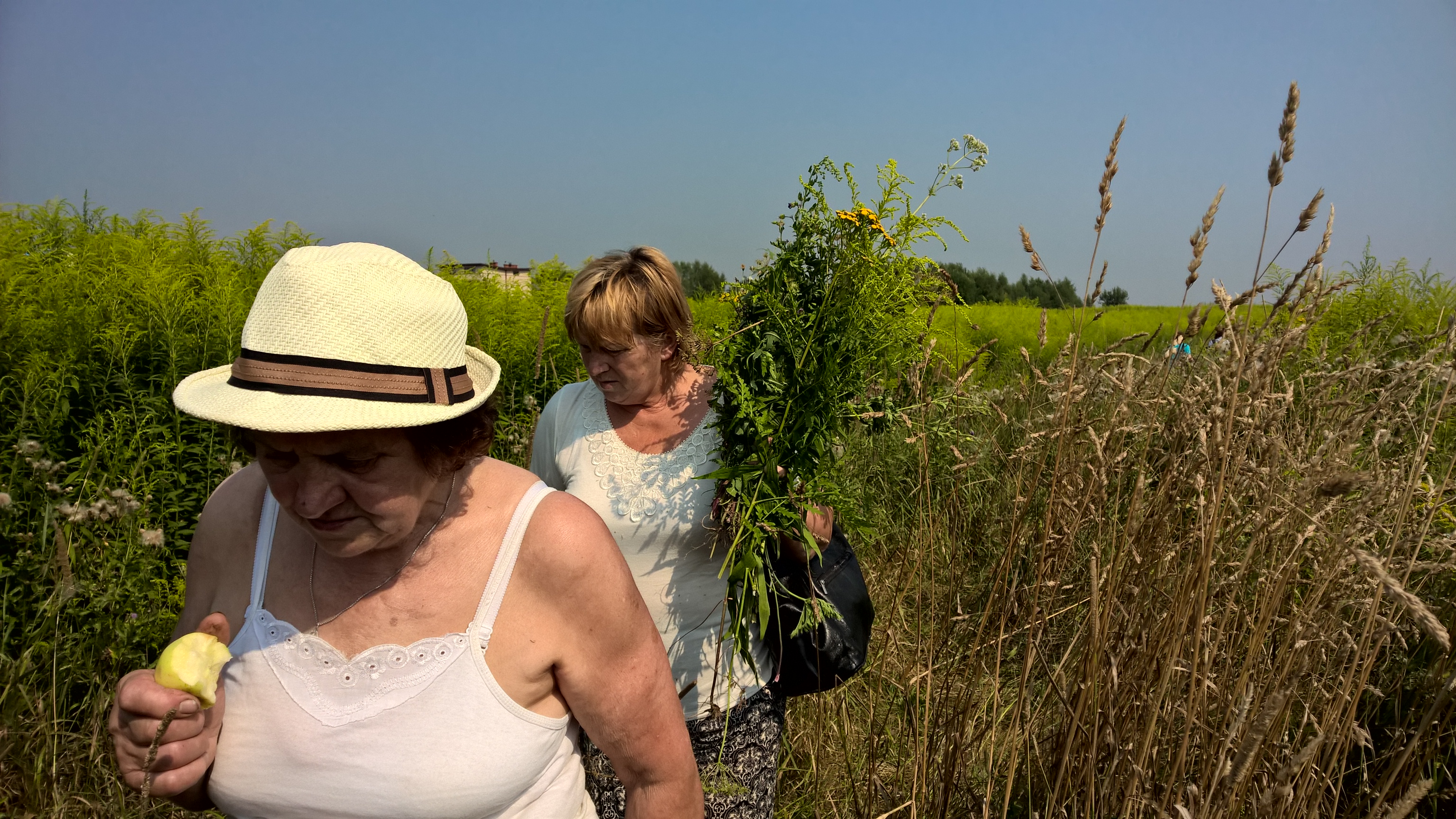 WP_20150810_10_33_37_Pro