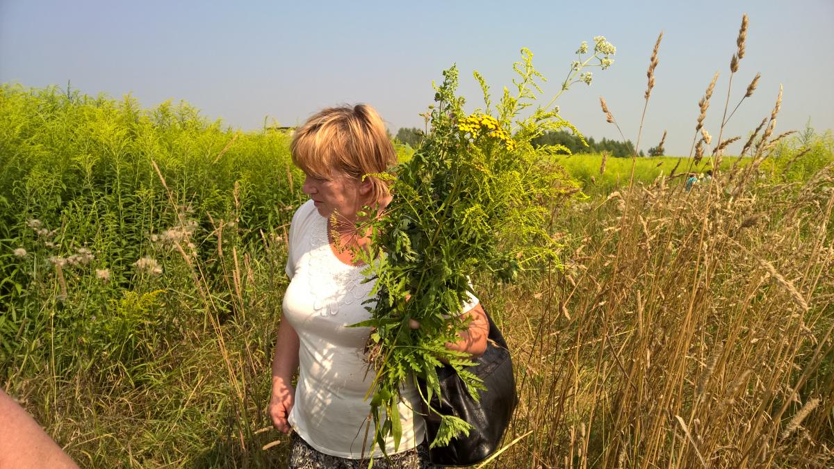 WP_20150810_10_33_39_Pro