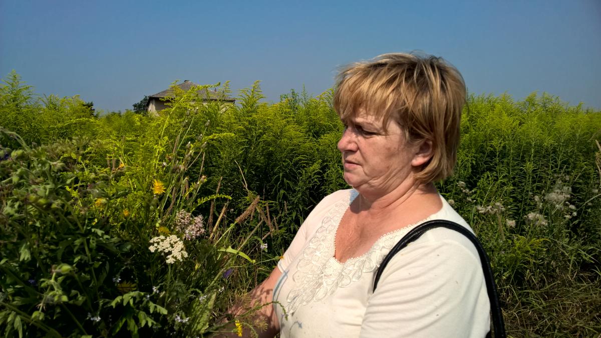 WP_20150810_10_33_49_Pro