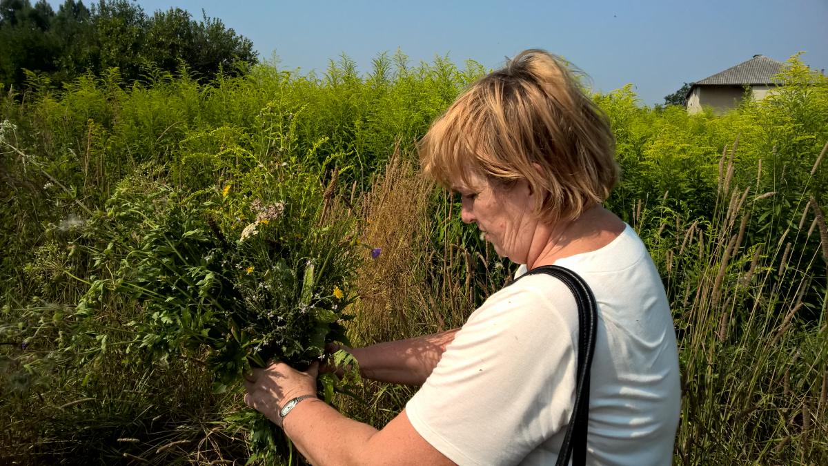 WP_20150810_10_33_52_Pro