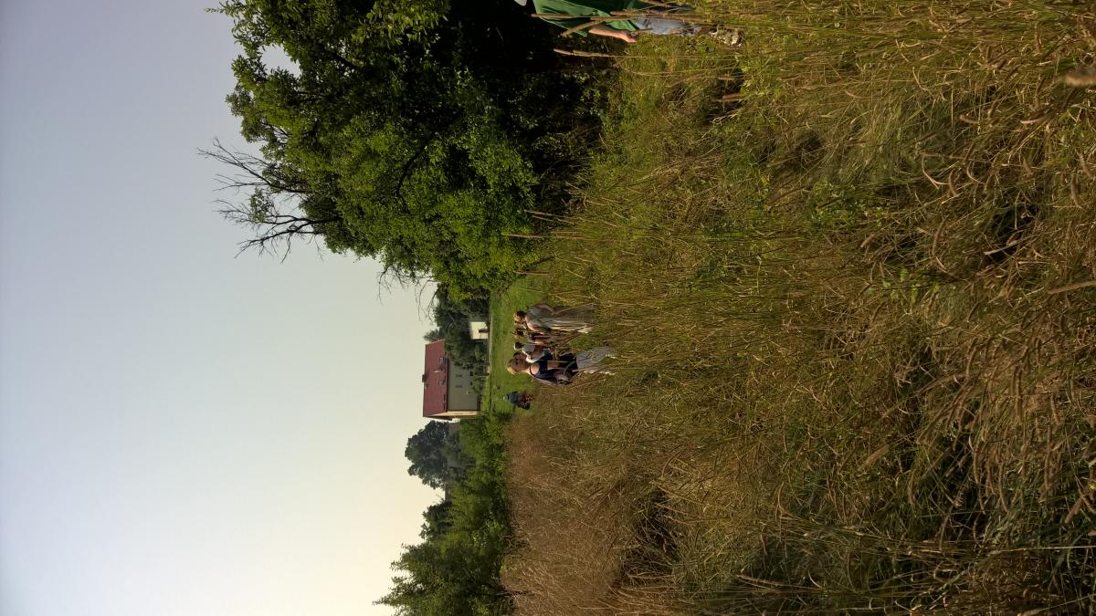 WP_20150810_10_34_46_Pro