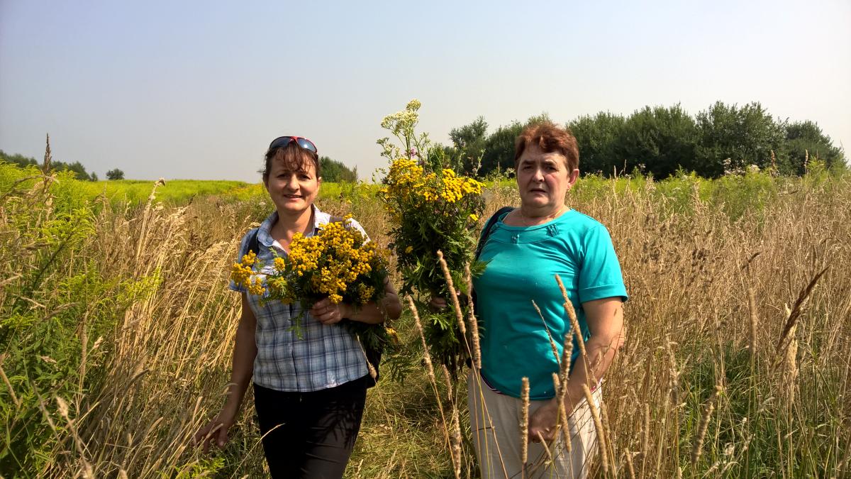 WP_20150810_10_35_26_Pro