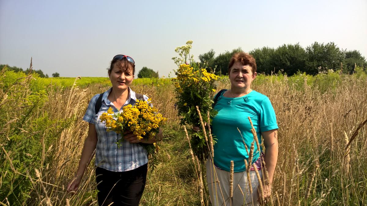 WP_20150810_10_35_28_Pro