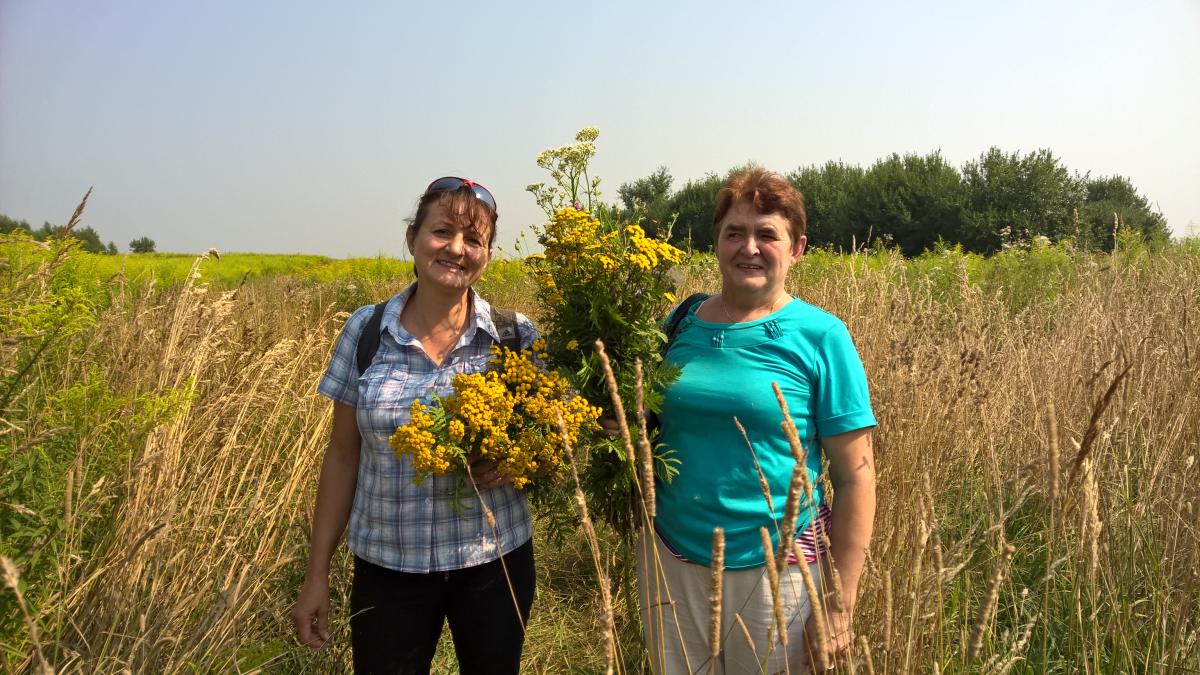 WP_20150810_10_35_30_Pro