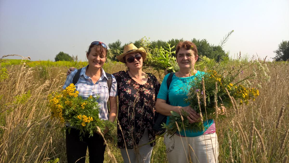 WP_20150810_10_35_41_Pro