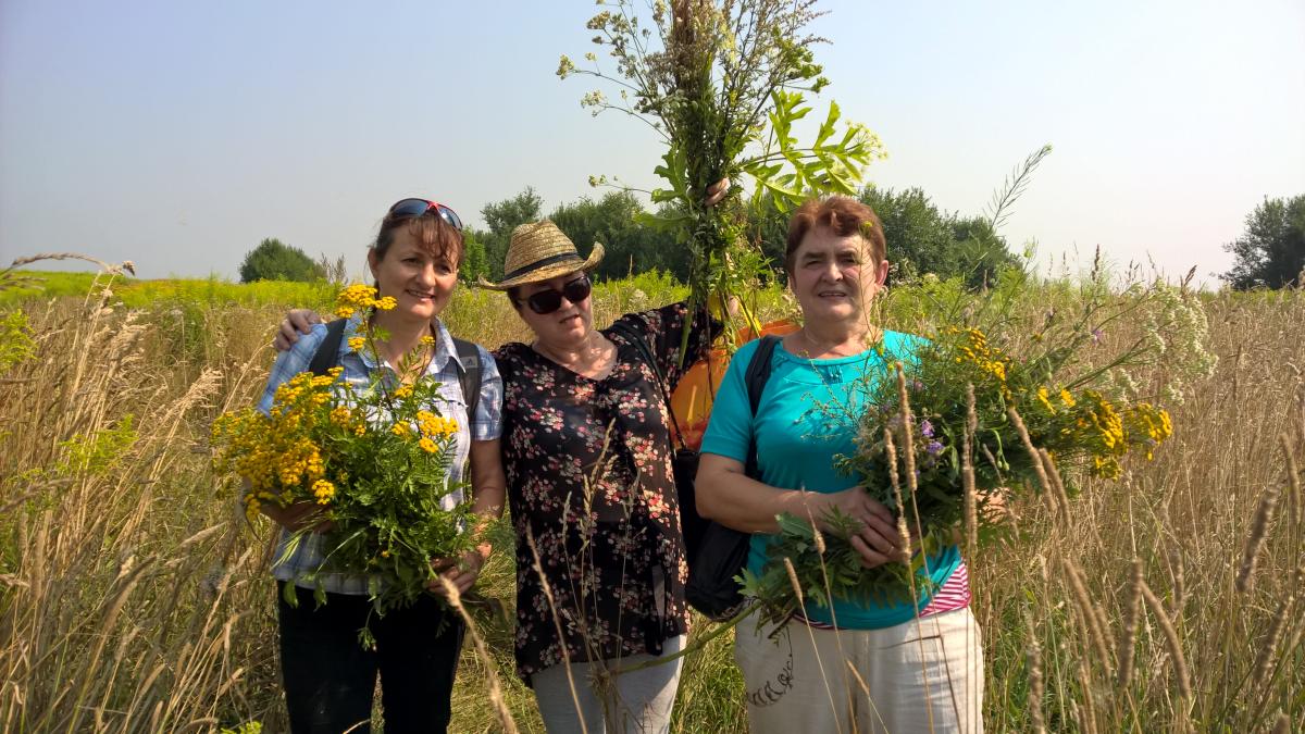 WP_20150810_10_35_43_Pro