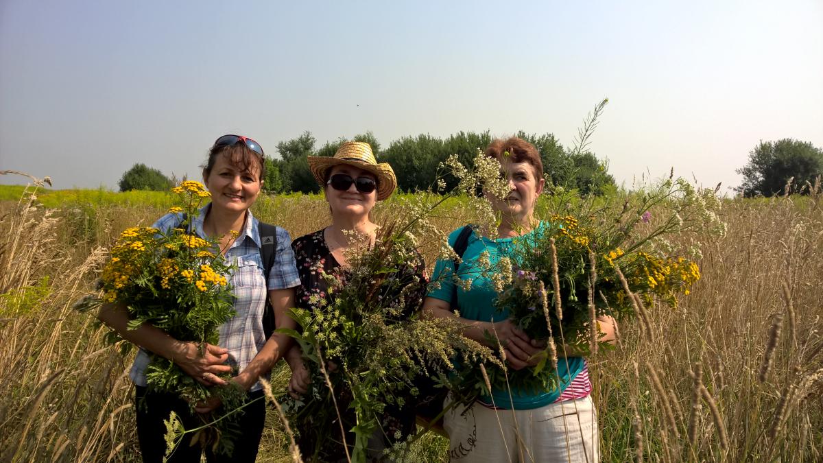 WP_20150810_10_35_47_Pro