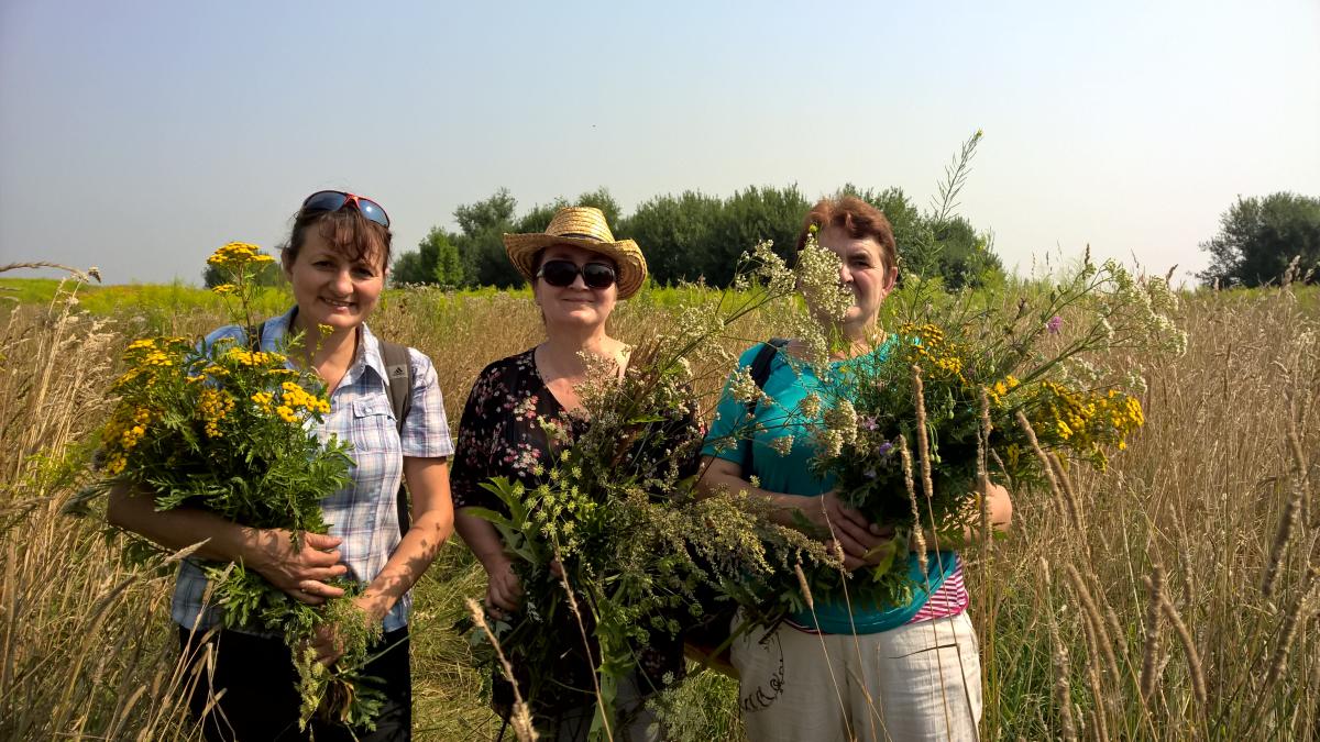 WP_20150810_10_35_49_Pro