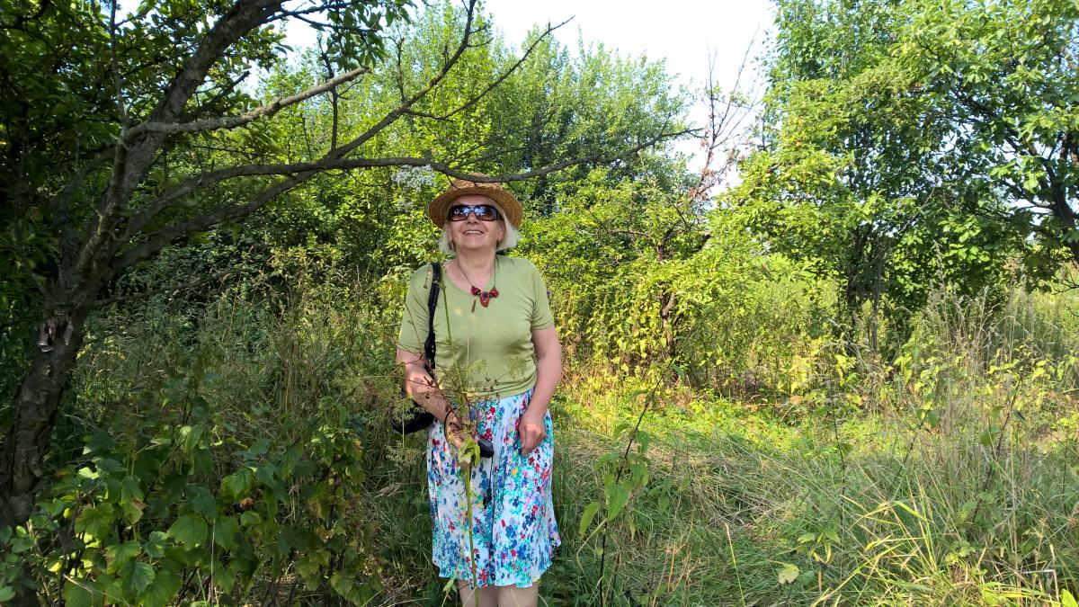 WP_20150810_10_36_29_Pro