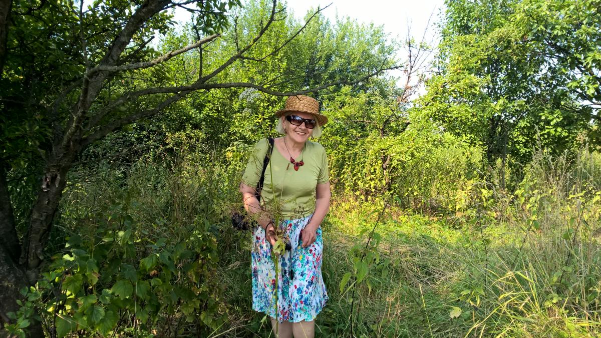 WP_20150810_10_36_31_Pro