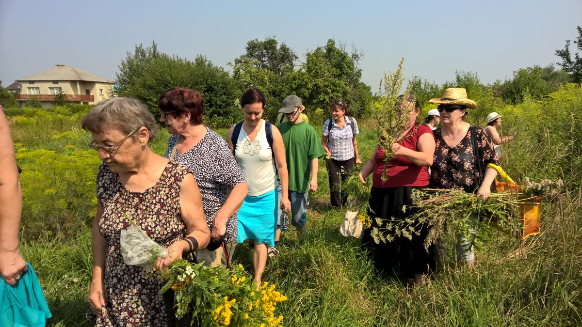 WP_20150810_10_38_21_Pro