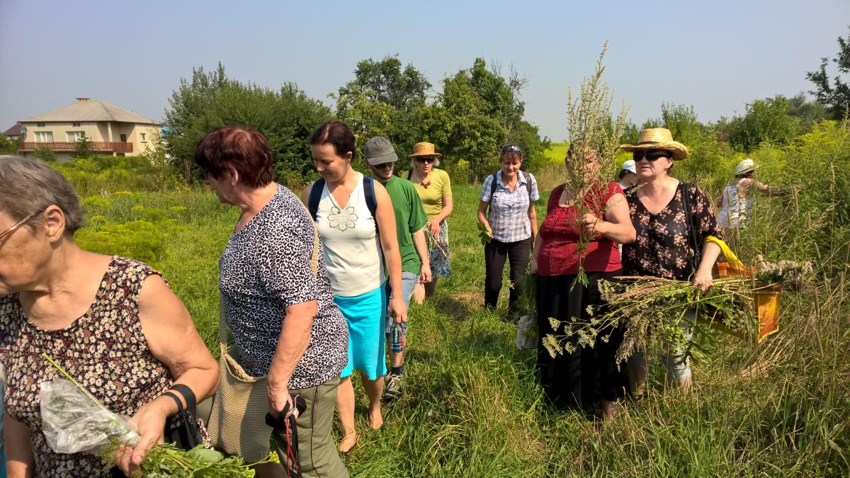 WP_20150810_10_38_23_Pro