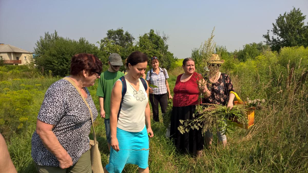 WP_20150810_10_38_25_Pro