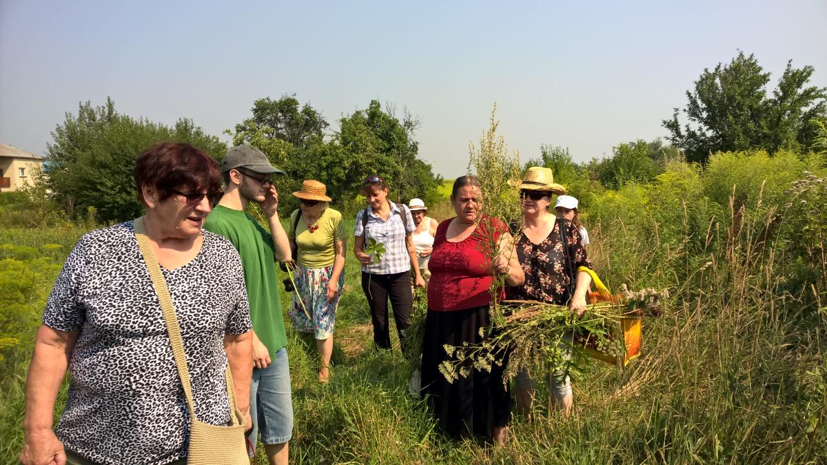 WP_20150810_10_38_29_Pro