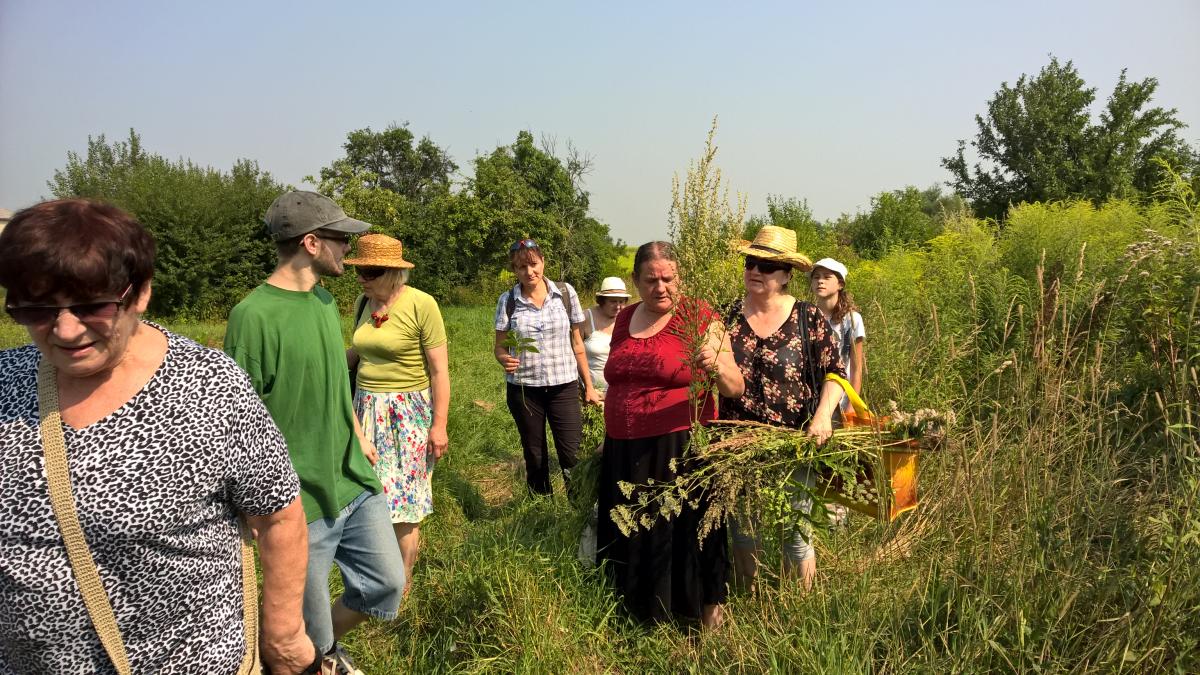 WP_20150810_10_38_30_Pro