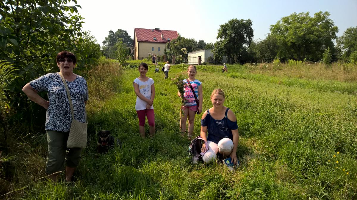 WP_20150810_10_39_13_Pro