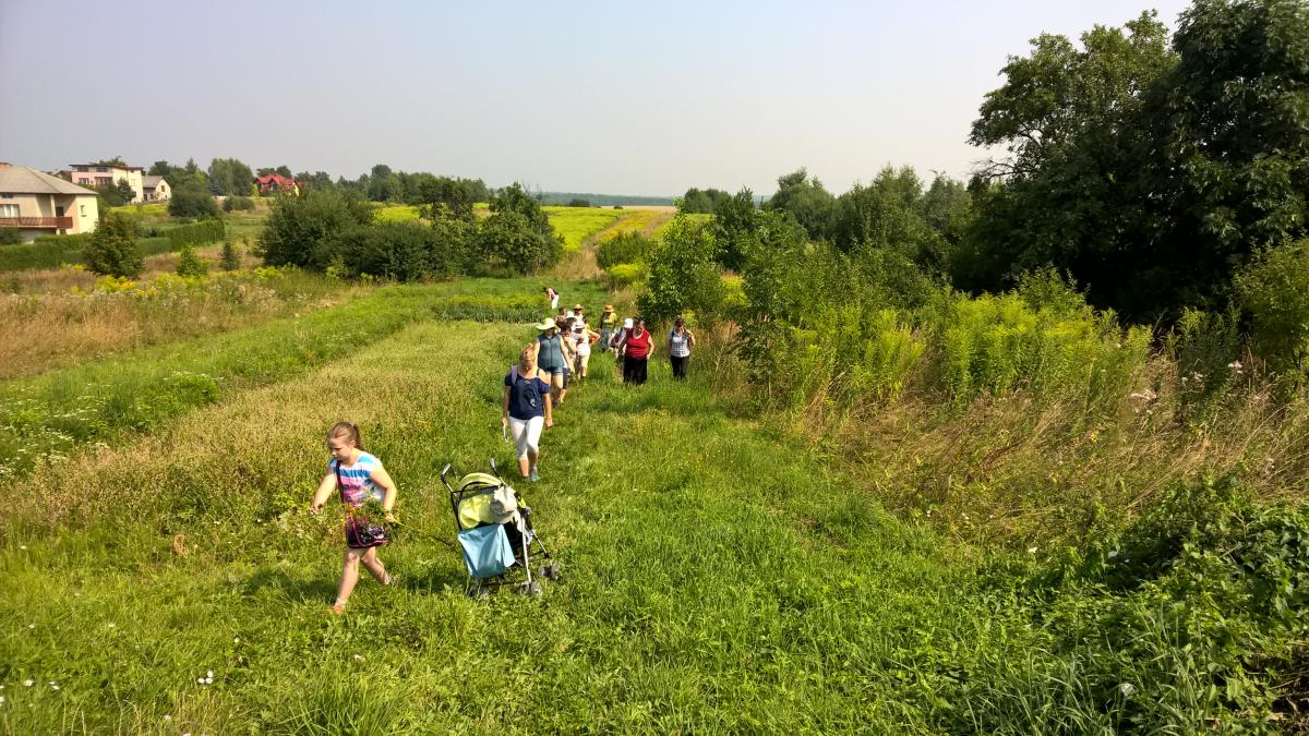 WP_20150810_10_40_35_Pro