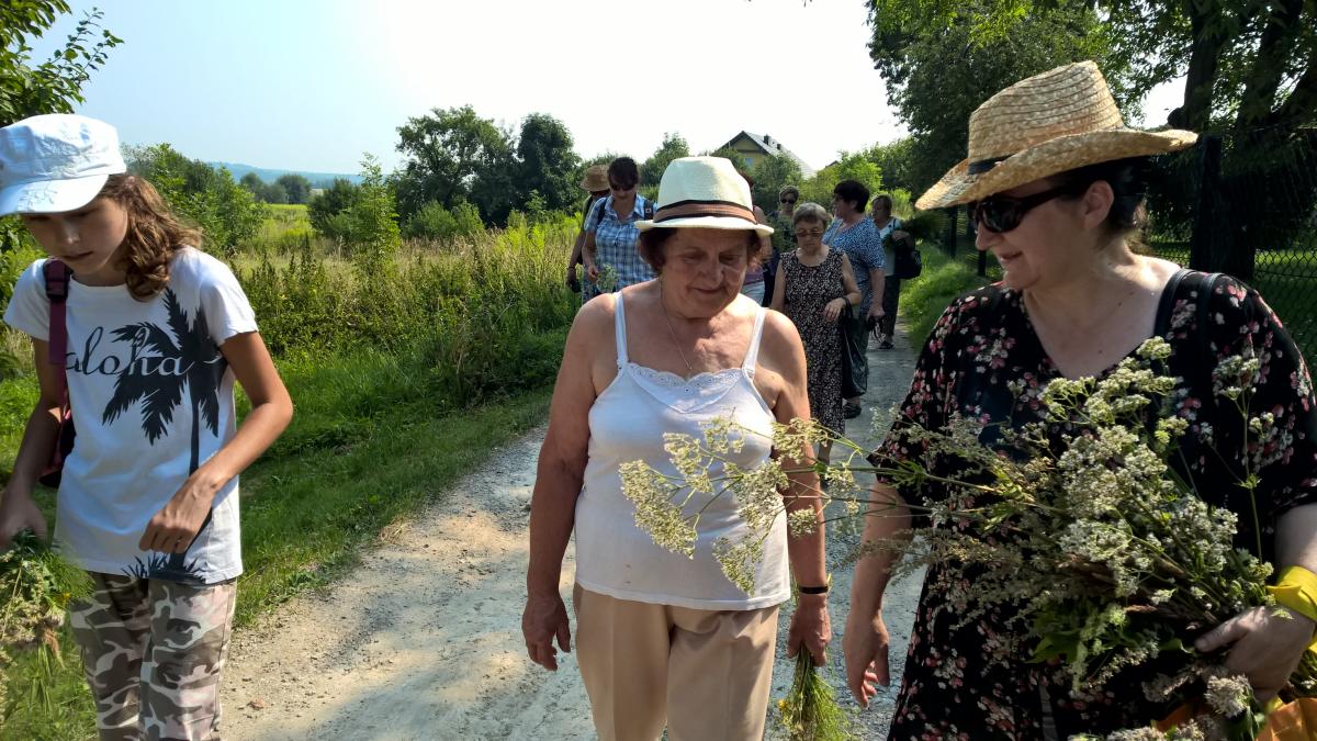 WP_20150810_10_44_15_Pro