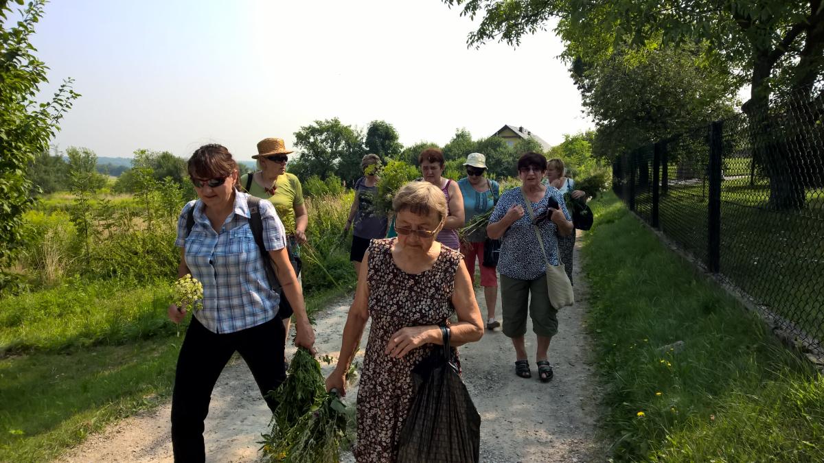 WP_20150810_10_44_20_Pro