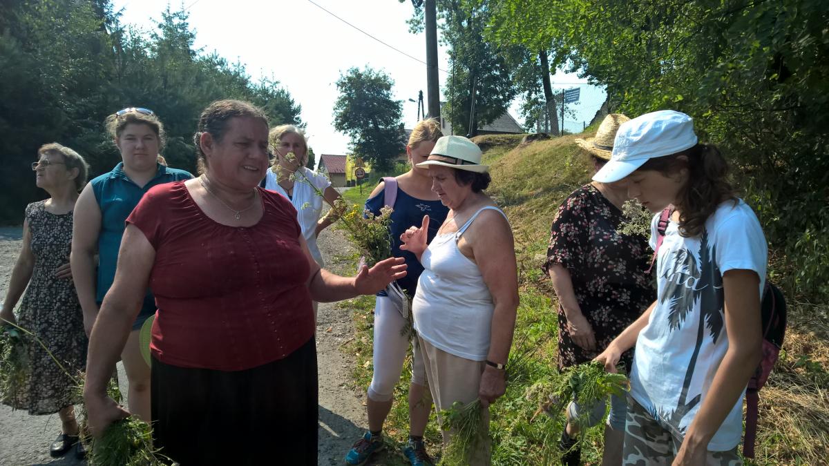 WP_20150810_10_48_43_Pro