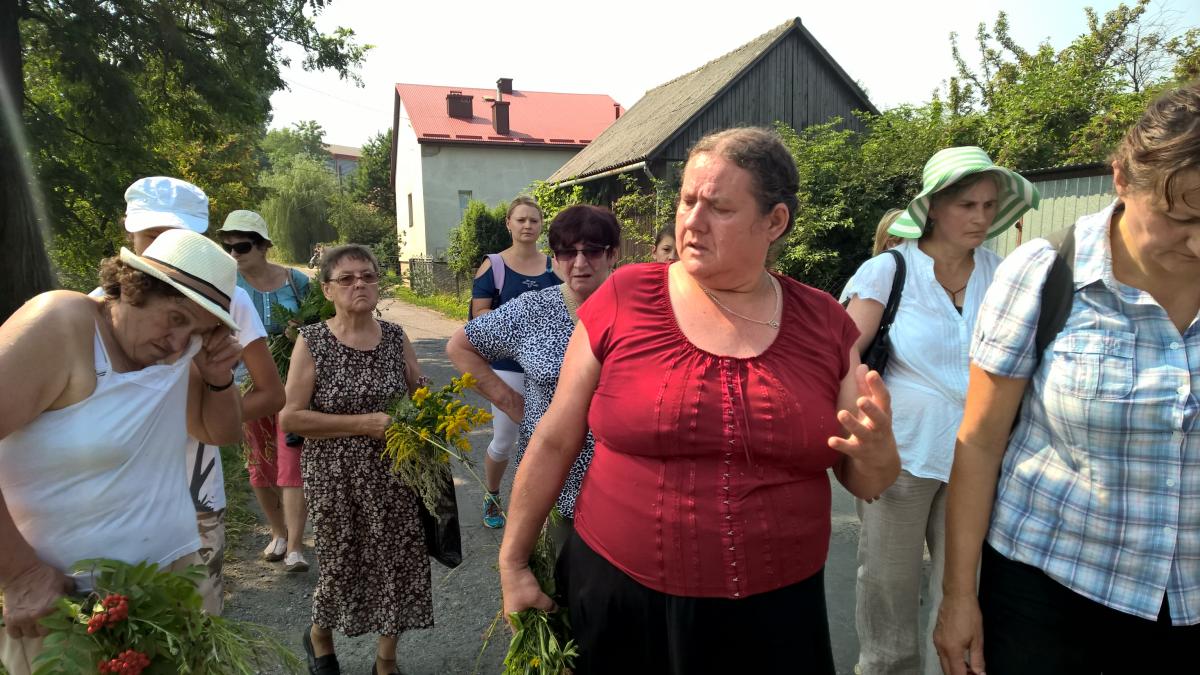 WP_20150810_10_57_16_Pro