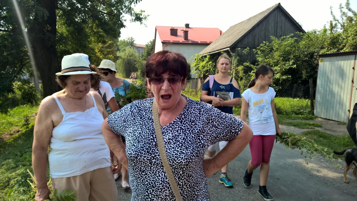 WP_20150810_10_57_19_Pro