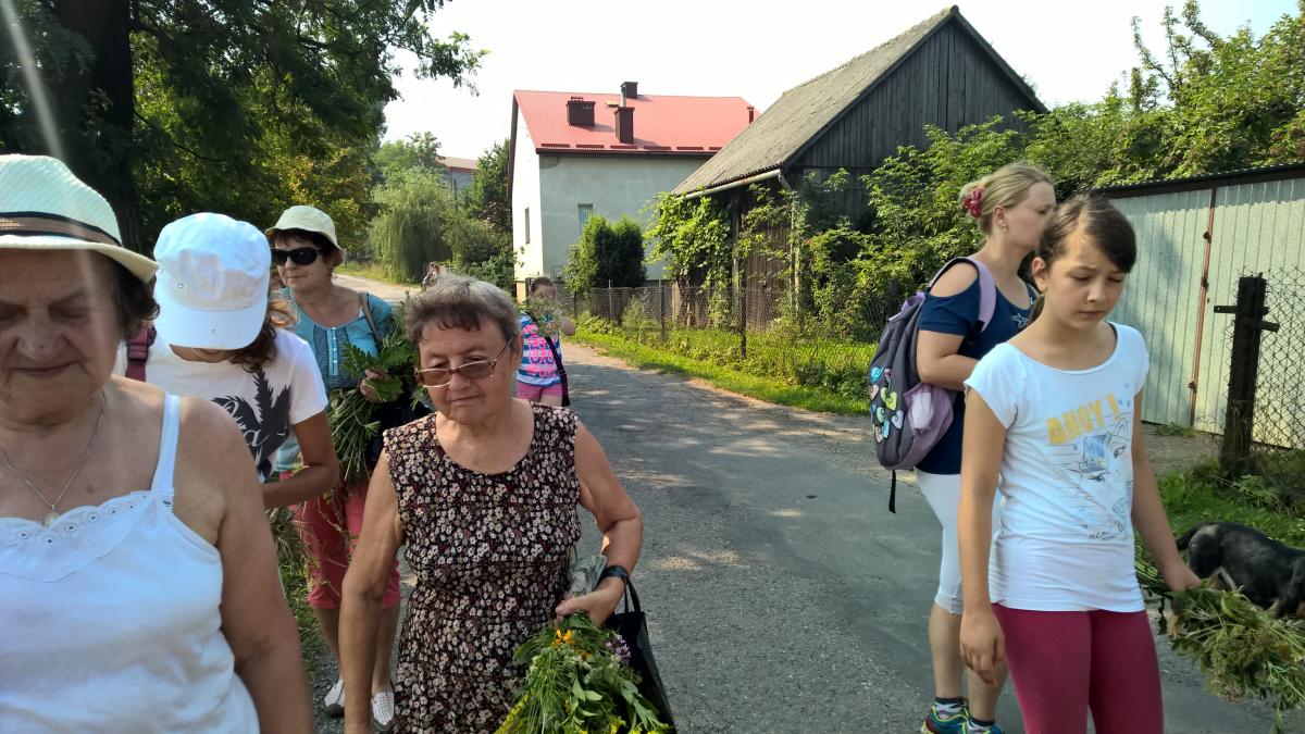 WP_20150810_10_57_21_Pro