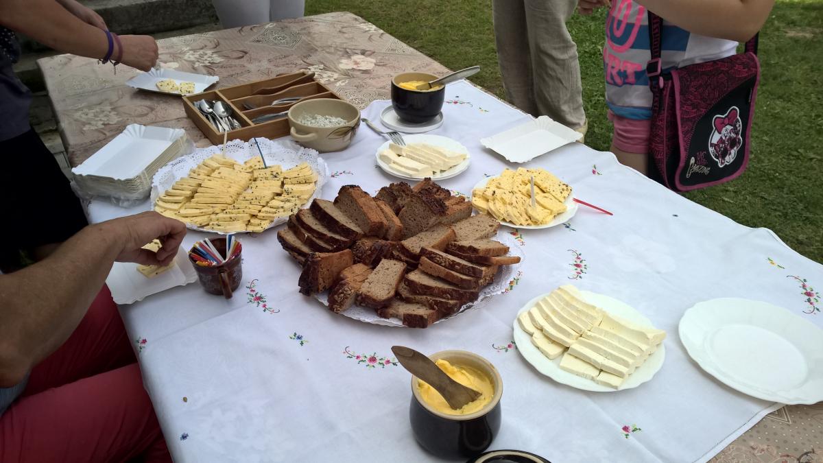 WP_20150810_12_48_44_Pro